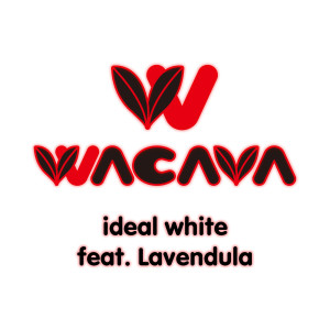 ดาวน์โหลดและฟังเพลง ideal white พร้อมเนื้อเพลงจาก WACAVA