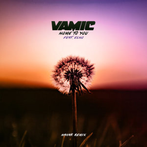 Vamic的專輯Home to You (HANAK Remix)