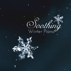 Various Artists的專輯Soothing Winter Piano (Relaxing Music for Special Time)