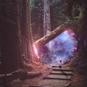 Album Vortex (Explicit) from Chase Stebbins