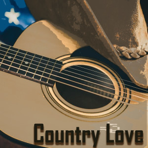 ดาวน์โหลดและฟังเพลง Wisdom of a Fool พร้อมเนื้อเพลงจาก Billie Jo Spears