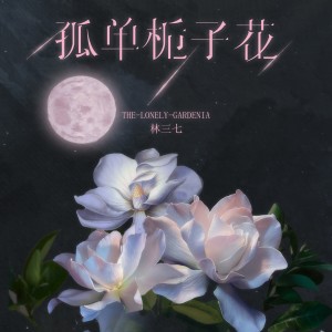 收聽林三七的孤單梔子花歌詞歌曲
