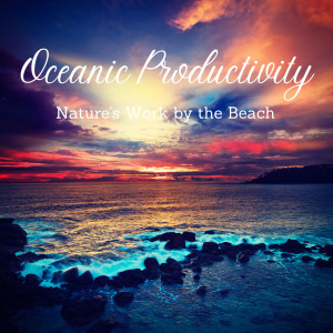 Oceanic Productivity: Nature's Work by the Beach