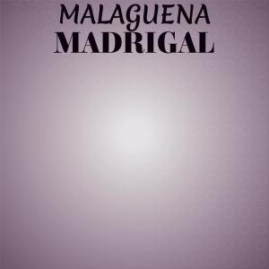 Various Artists的專輯Malaguena Madrigal