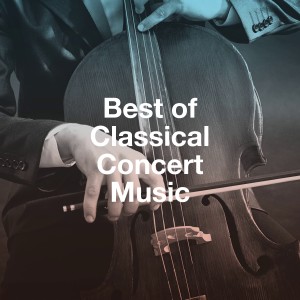 Listen to Violin Concerto No. 3 in G Major, K. 216: I. Allegro song with lyrics from Ukrainian Chamber Orchestra