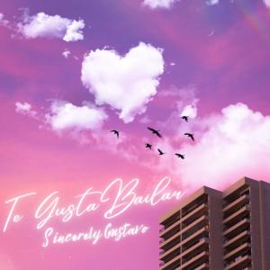 ดาวน์โหลดและฟังเพลง Te Gusta Bailar พร้อมเนื้อเพลงจาก Sincerely Gustavo