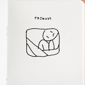 Album friends oleh Arash Buana