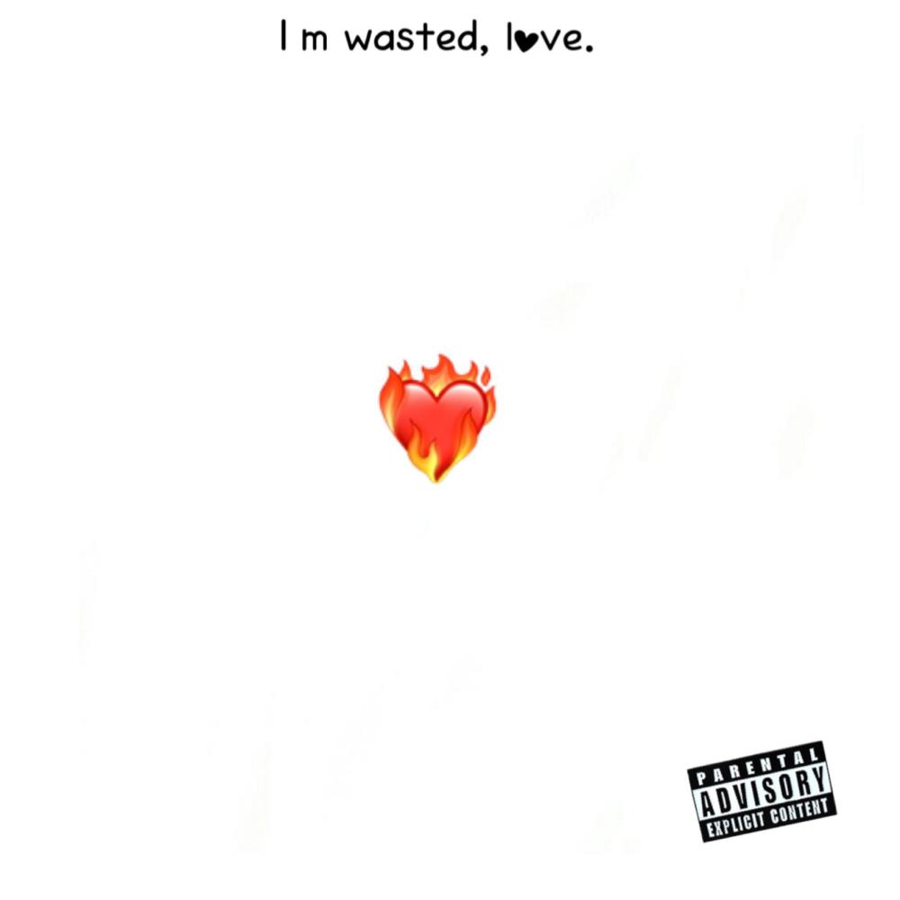 I'm wasted, love. (Explicit)
