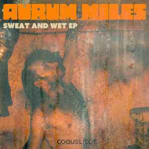 Listen to Aus Baus song with lyrics from Aurum Miles