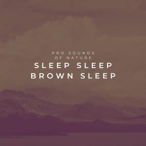 Pro Sounds of Nature的专辑Sleep Sleep Brown Sleep