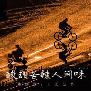 Listen to 酸甜苦辣人间味 song with lyrics from 烤烤蒜