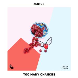 Album Too Many Chances from Xenton