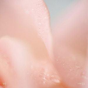 Han All的專輯your spring, too