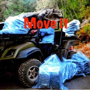 Album Move it (Explicit) from 