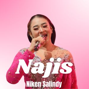 Dengarkan Najis lagu dari Niken Salindry dengan lirik