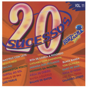 Album 20 Sucessos SomZoom Sat, Vol. 11 from Various