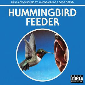 Listen to Hummingbird Feeder (Explicit) song with lyrics from Milc