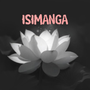 Album Ismanga from The Minister
