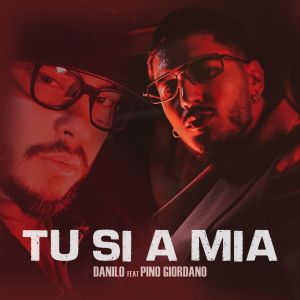 Listen to Tu Si A Mia song with lyrics from Danilo
