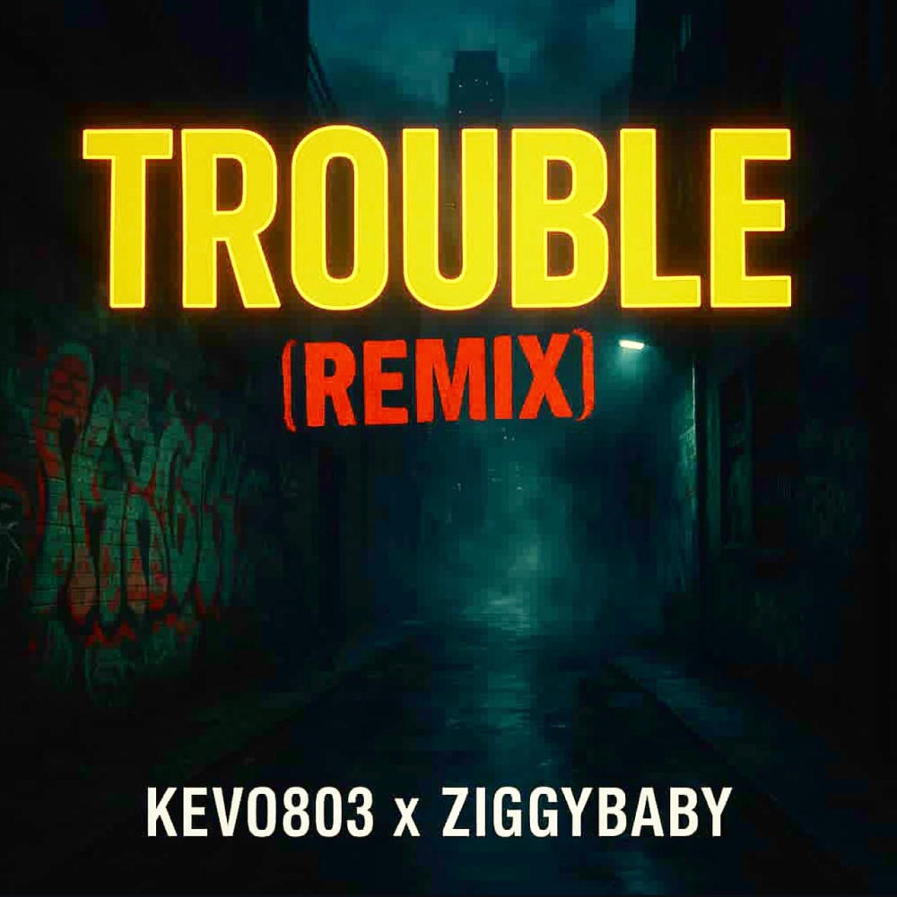 Trouble remix (feat. Ziggybaby)