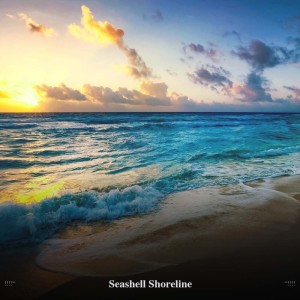 Album !!!!" Seashell Shoreline "!!!! from Ocean Sounds