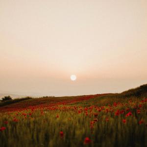 kallepdp的專輯slow mornings