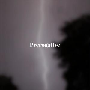 Various的专辑Prerogative