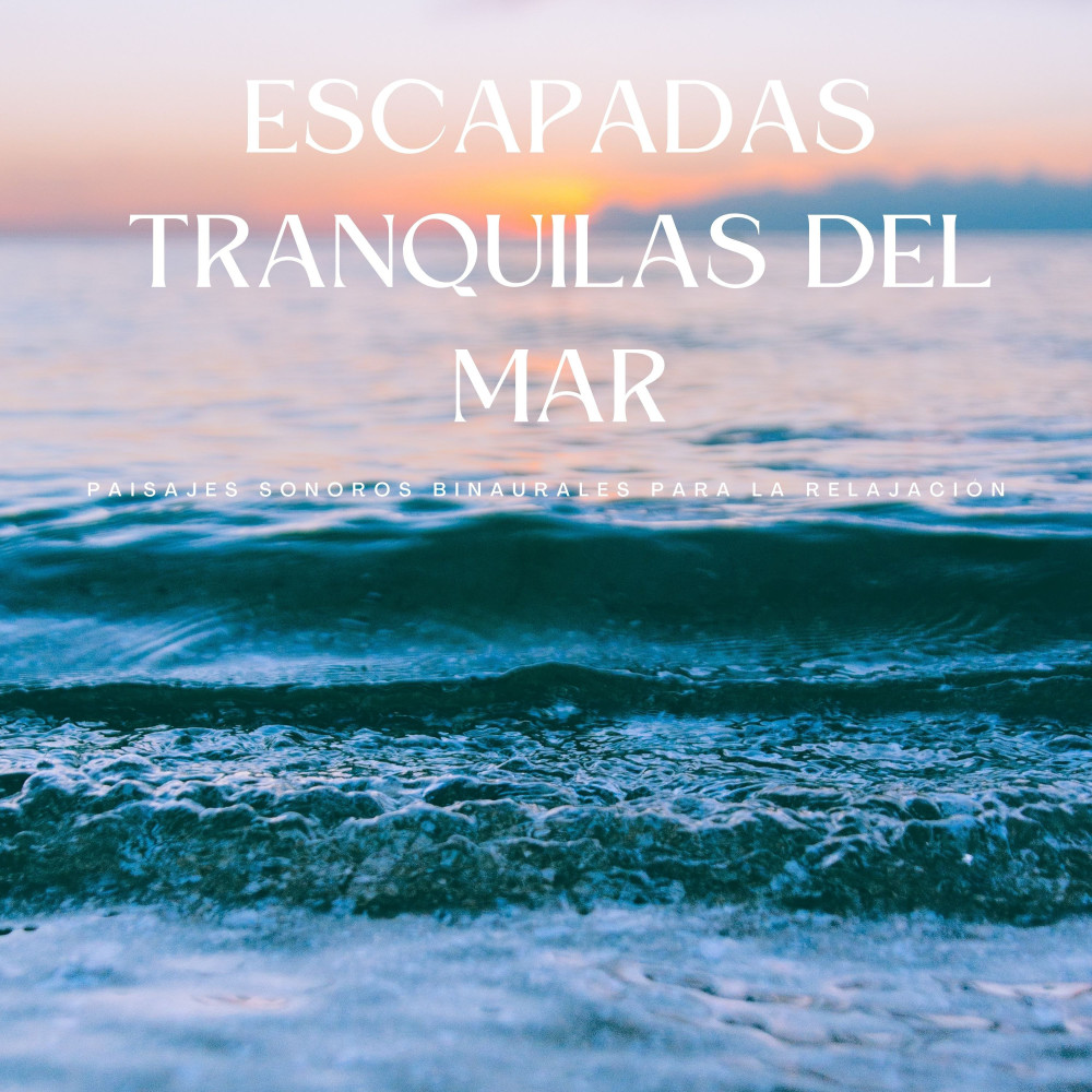 Paisajes Sonoros Tranquilos Zen Del Mar