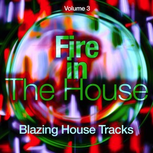 Fire in the House, Vol. 3 dari Various Artists