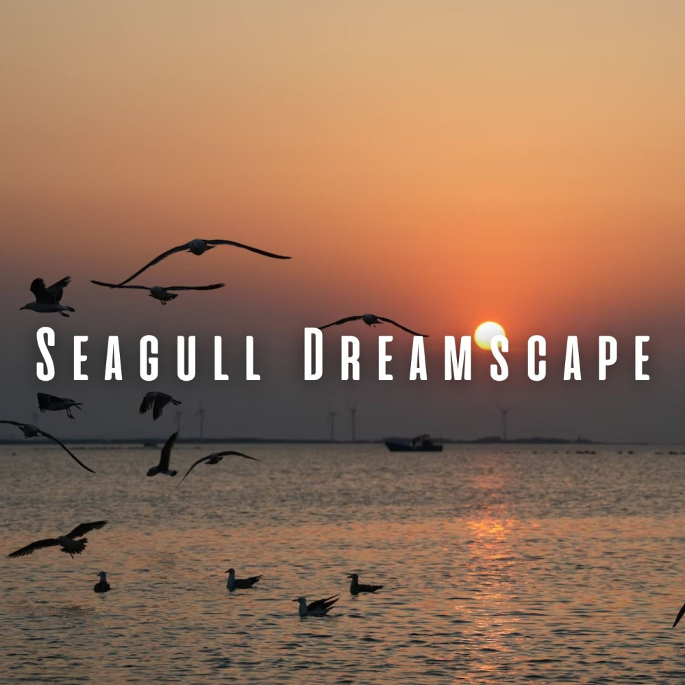 Soundscapes of Dreamy Tides