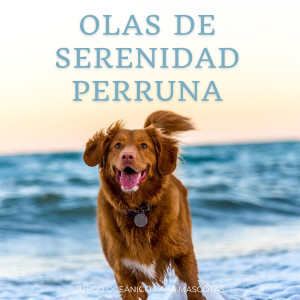 Olas de migración的專輯Olas De Serenidad Perruna: Juego Oceánico Para Mascotas