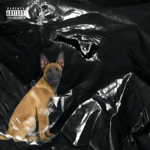 Album BABY MALINOIS (Explicit) from 