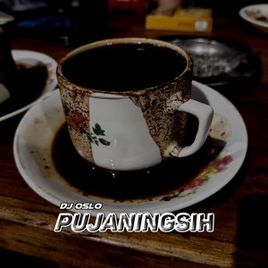 Listen to Pujaningsih song with lyrics from DJ OSLO