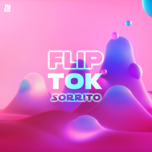 Sorrito的专辑Flip Tok