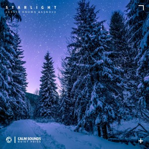 ดาวน์โหลดและฟังเพลง Starlight พร้อมเนื้อเพลงจาก Lesser Known