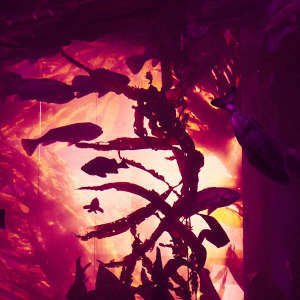 Listen to FIRE song with lyrics from Kovii