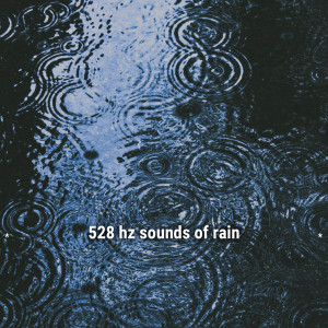 Album * 528 hz sounds of rain * from Wildlife Bill