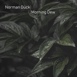 ดาวน์โหลดและฟังเพลง Morning Dew พร้อมเนื้อเพลงจาก Norman Dück