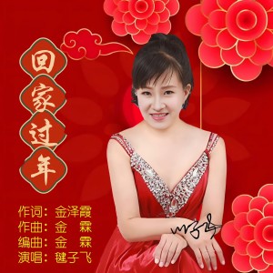 Album 回家过年 from 毽子飞