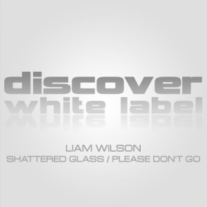 ดาวน์โหลดและฟังเพลง Please Don't Go (Original Mix) พร้อมเนื้อเพลงจาก Liam Wilson