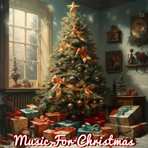Wili Weihnacht的專輯Music For Christmas