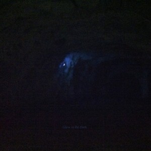 ดาวน์โหลดและฟังเพลง Glow in the Dark พร้อมเนื้อเพลงจาก Ma Fleur