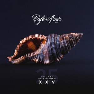 Café del Mar XXV (Vol. 25)