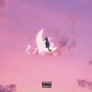 ดาวน์โหลดและฟังเพลง Retro Vibes (Explicit) พร้อมเนื้อเพลงจาก Ebytra