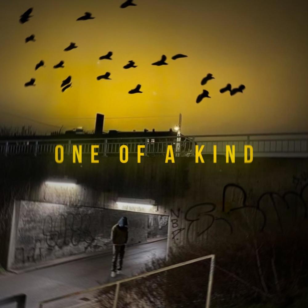 One Of a Kind (Explicit)