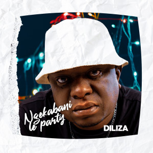 Diliza的專輯Ngekabani Le Party