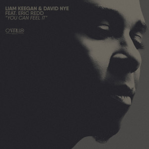 Listen to You Can Feel It (Radio Mix) song with lyrics from David Nye