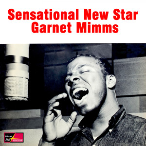 อัลบัม Sensational New Star ศิลปิน Garnet Mimms