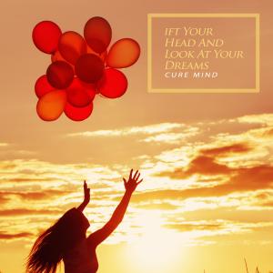 Album Lift your head and look at your dreams oleh Cure Mind
