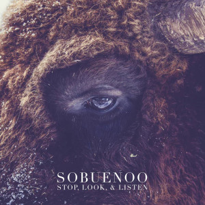 Listen to Rolli (Explicit) song with lyrics from So Buenoo